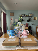 Load image into Gallery viewer, Elephant Announcement Plush
